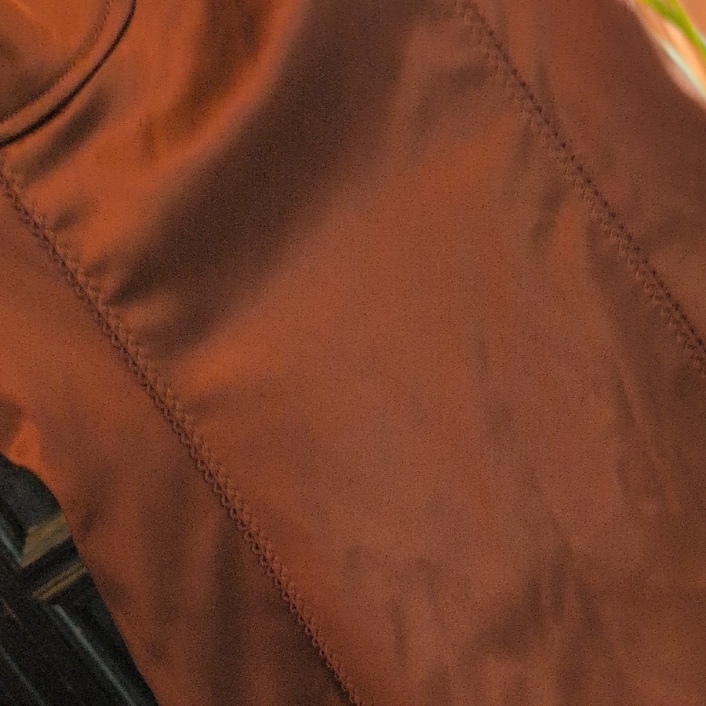 Wilfred Chocolate Satin Midi Dress - Picture 9 of 11